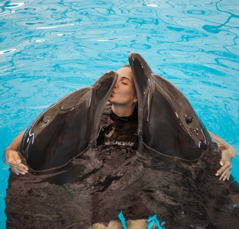 Phuket Dolphin Bay – Southern Thailand’s Premier Dolphinarium